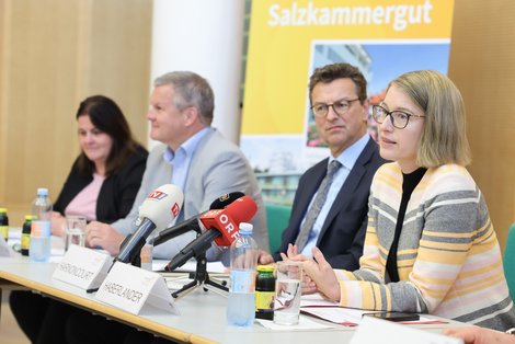 Pressekonferenz-Situation