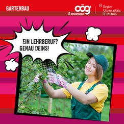 Lehrling beim Baum schneiden.  In Sprechblase: Ein Lehrberuf? Genau Deins!